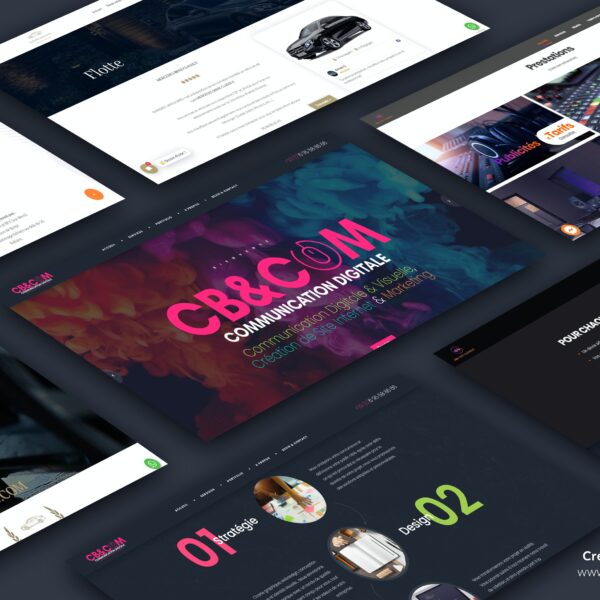 Création de site internet Cannes Antibes Nice Monaco web master web design webdesigner
